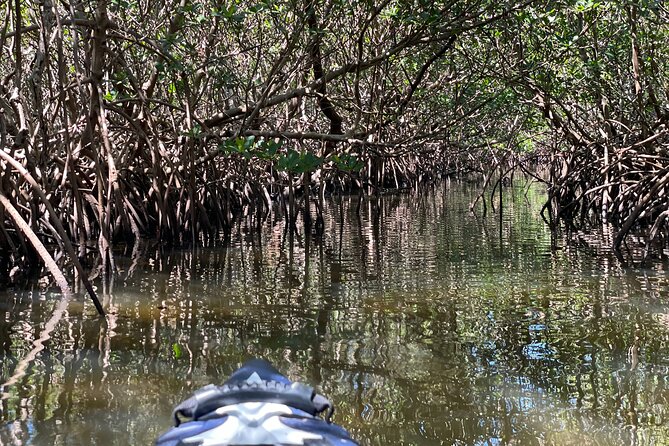 2- Hour Jungle Tour at Prehistoric Preserve Site in Fort Pierce - Tour Highlights