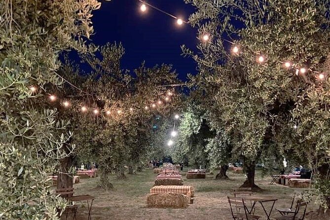 2-Hour Picnic at the Chair of the Moon in Santa Maria Imbaro - Good To Know