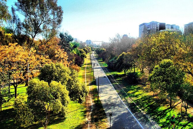 2 Hour Private Bike Tour in Valencia - Tour Overview