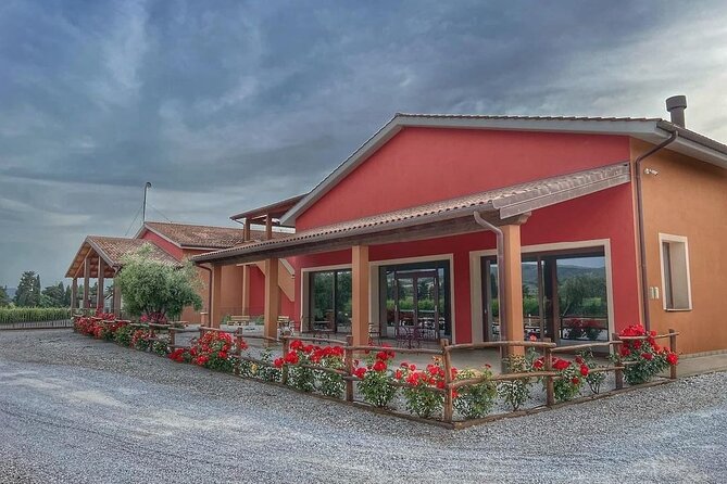 2-Hour Private Guided Tour With Tasting of Bolgheri DOCS - Good To Know