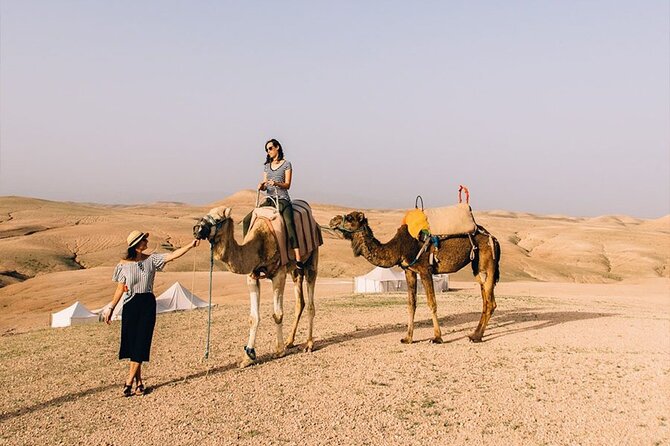 2-Hour Quad Adventure in the Palmerais Desert From Marrakech - Good To Know