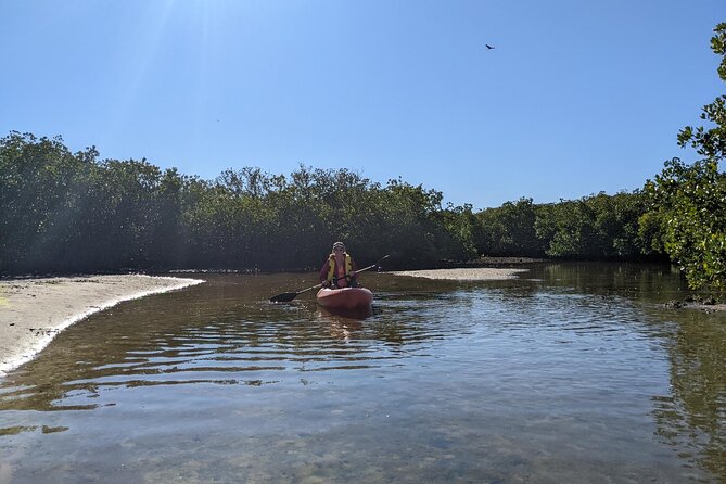 2 Hour Tandem Kayak Tour (Price for 2 People) - Good To Know
