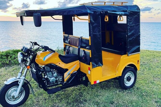 2 Hour West End Tour by Tuk Tuk - Key Points