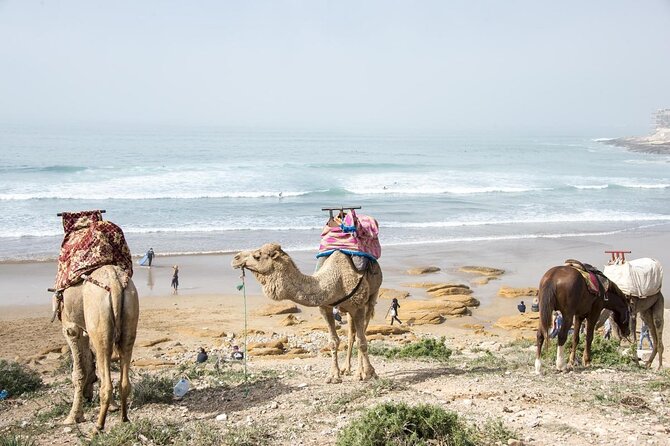 2 Hours Activity Surfing Lessons in Taghazout - Good To Know