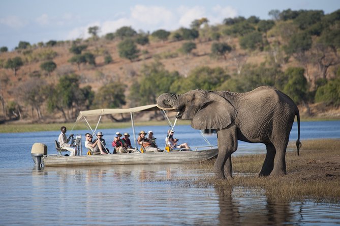 2 Nights 3 Days Chobe Safari Ex Livingstone/ Victoria Falls - Good To Know