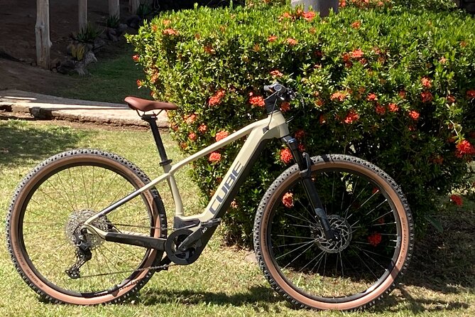24-Hour Motorbike Rental in Playas Del Coco - About Your Stay