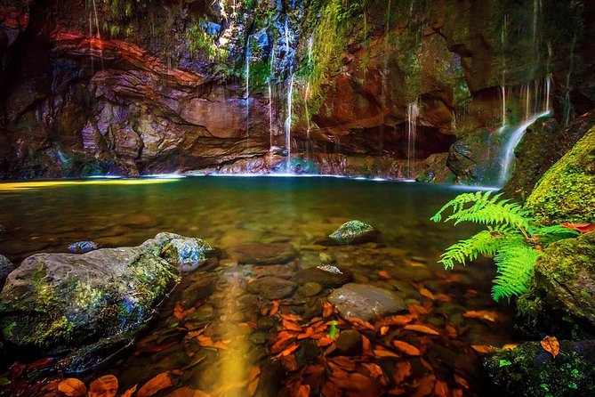 25 Fountains Walk / Lost In The Beautiful Forest - Key Points
