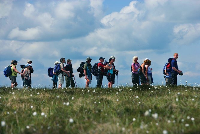 1/2 Day Pilgrims Walk on St Patricks Way and Lunch - Inclusions in the Tour