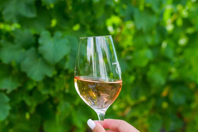 1/2 Day Private Vintage Tour, Vineyards of Saint-Tropez - Health and Accessibility