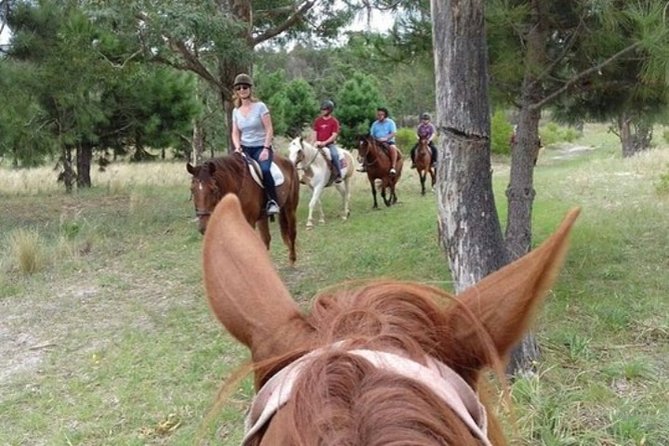 1.5 Hr Horseback Riding Montevideo, Uruguay, With Transportation - Pickup and Start Time