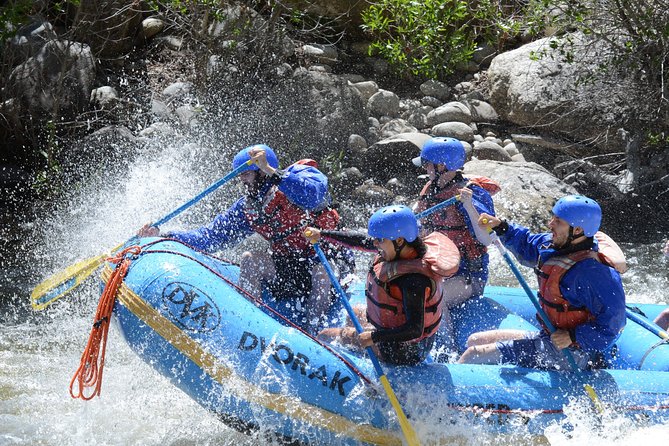 1-Day Arkansas River - The Numbers Rafting Trip - Included Amenities
