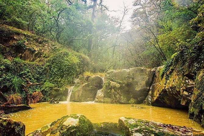 1 Day Excursion Nature and Archeology Bulla Regia and Beni Mtir From Tunis - Visiting Bulla Regia