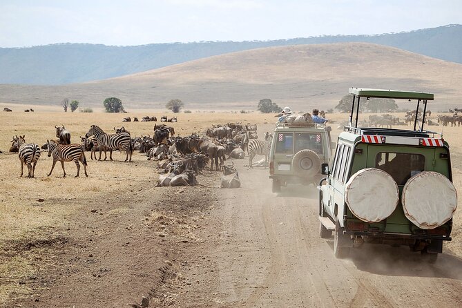1-Day Fly in Safari to Mikumi National Park From Zanzibar - Highlights of Mikumi National Park
