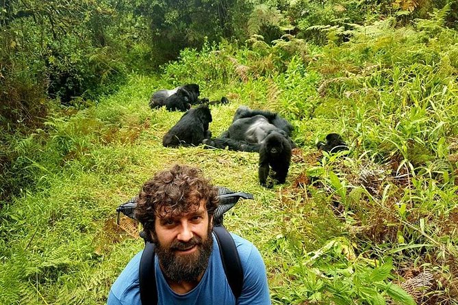 1 Day Gorilla Trekking Uganda - Pickup and Meeting Points