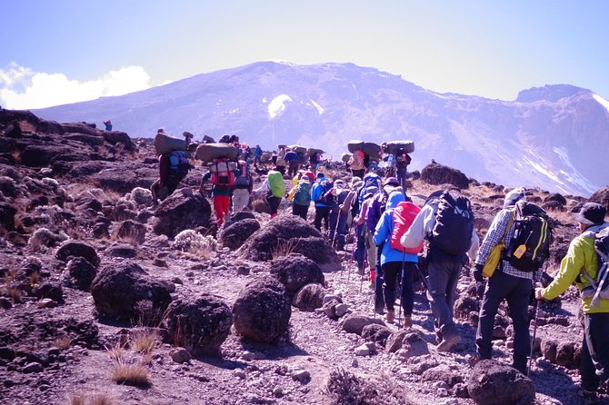 1 Day Kilimanjaro Climb via Machame Route - Inclusions of the Tour