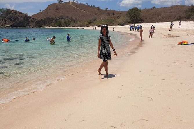 1- Day Komodo Island Hopping Tour by Speed Boat Departure From Labuan Bajo - Pricing Details