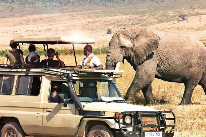 1 Day Private Ngorongoro Crater Safari - Meeting and Pickup Details