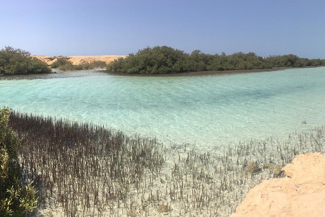 1 Day Private Trip to Ras Mohamed By Car From Sharm-el-Sheikh - Private Transportation and Guided Tour