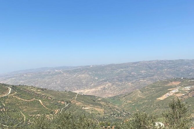 1 Day Tour to Amman Jerash and Ajloun Castle - Highlights of Amman