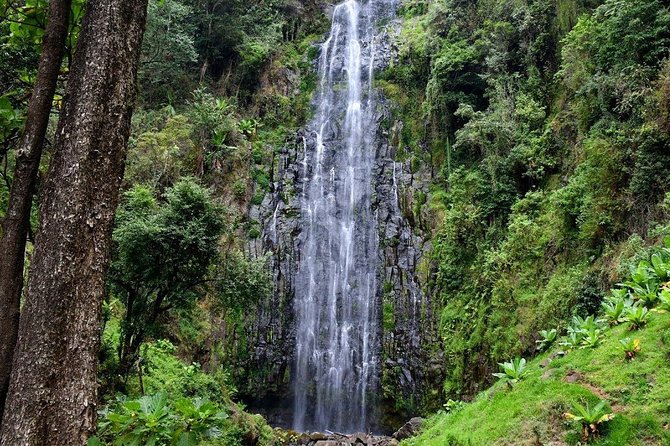 1 Day Tour to Materuni Waterfalls and Coffee Tour - Inclusions and Features