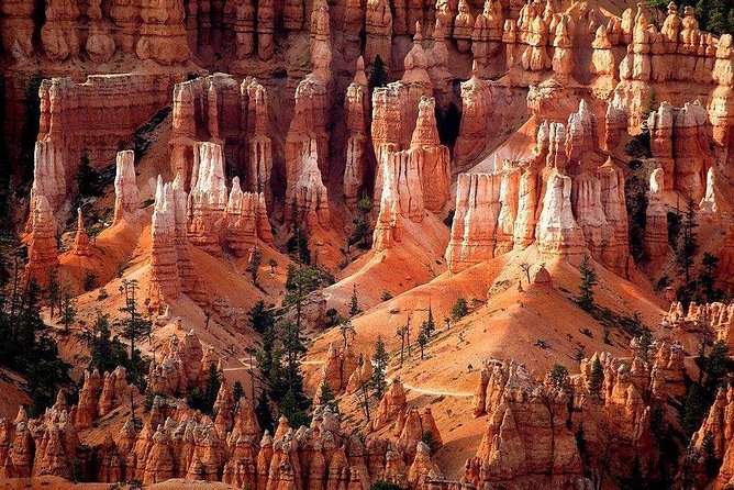 1-Day Zion & Bryce Canyon National Park Bus Tour - Tour Inclusions