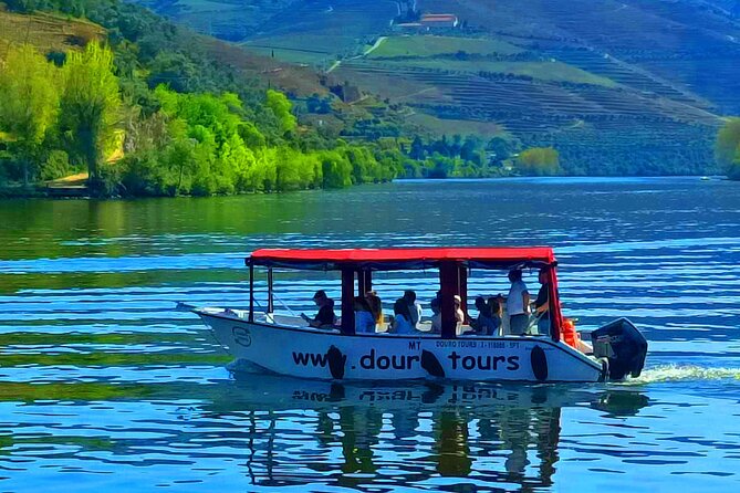 1-Hour Boat Trip Along the Douro River in Pinhão - Accessibility Features