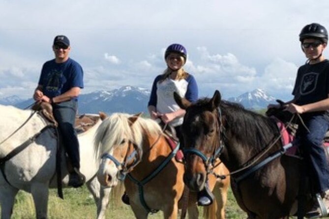 1-Hour Indoor Activity Horsemanship Review - Pricing and Group Size