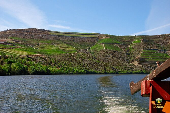 1-Hour Rabelo Boat Trip in Pinhão - Customer Experiences and Feedback