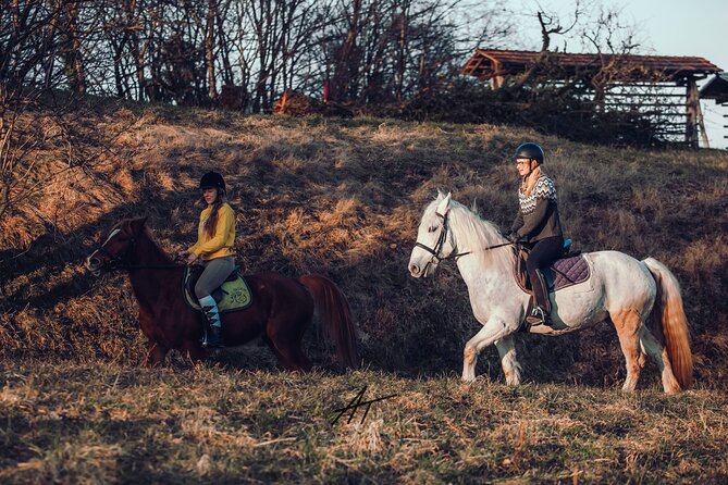 1-Hour Small-Group Horseback Riding Guided Activity From Ljubljana - Meeting and Pickup