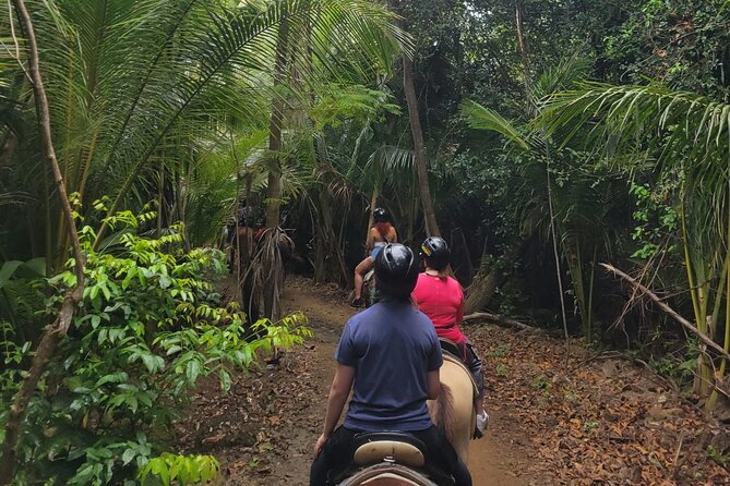1 or 2 Hour Puerto Rico Horseback Ride Experience! - Safety and Accessibility