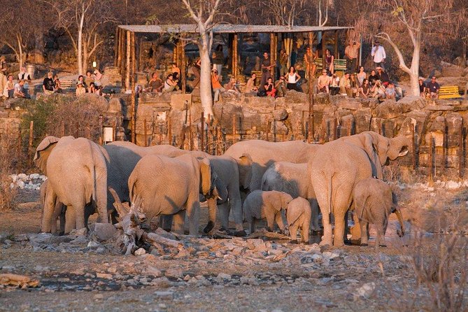 10 DAYS BEAUTY OF NAMIBIA | Private Guided Tour - Itinerary Highlights