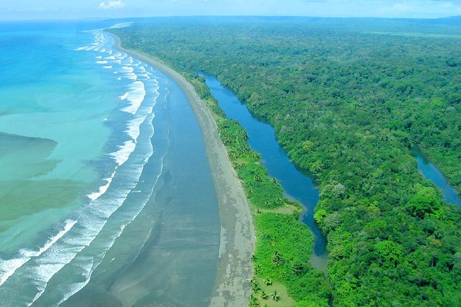 10 Days: Costa Rica Pure Nature - Spotting Wildlife in Mangroves