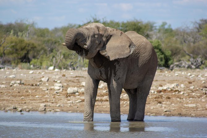 11 Day Namibia Experience Fully Accommodated Tour - Itinerary Overview