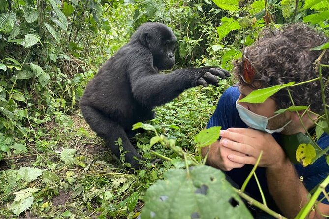 12-Day Moderately Priced Pearl of Africa - Uganda Private Safari - Included Activities and Experiences