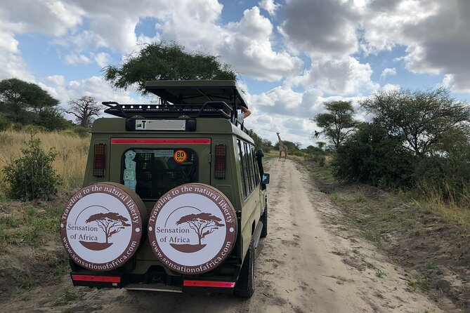 12 Days Safaris Tour in Arusha - Serengeti Wildlife Safari