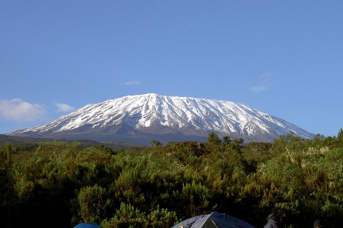13 Days Adventure in Tanzania - Trekking and Wildlife Safari - Spotting Wildlife in Ngorongoro