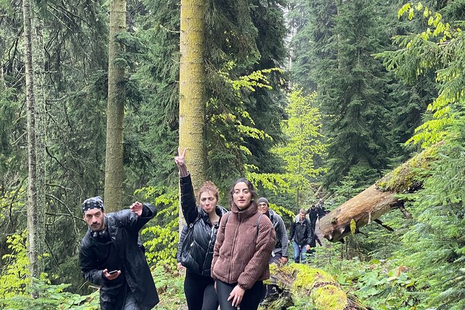 13 Km Hike in Borjomi - Group Tour From Tbilisi - Hiking Difficulty and Terrain