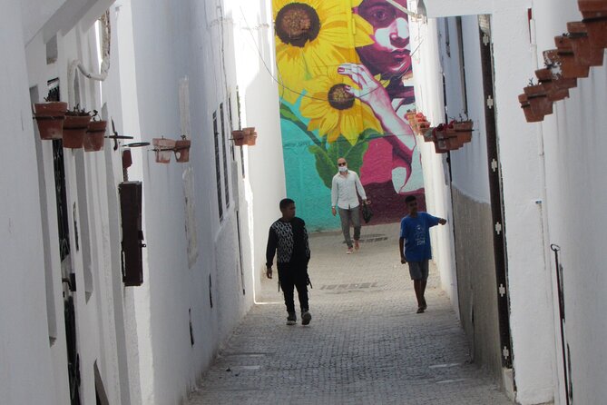 14-Day Private Morocco Street Art Tour - Included Experiences