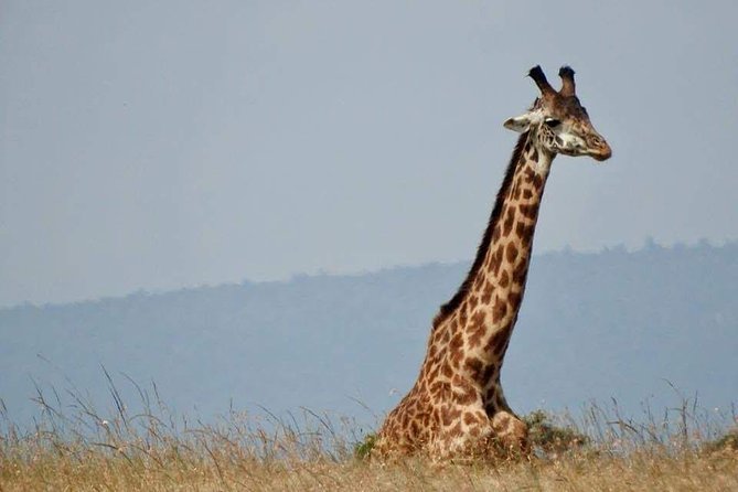 14-Day Serengeti Maasai Mara Amboseli Tarangire Zanzibar - Accommodation Details