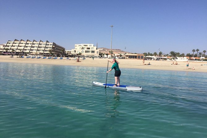 1,5-Hour Beginners Stand up Paddle Course in Caleta De Fuste - Meeting and Pickup