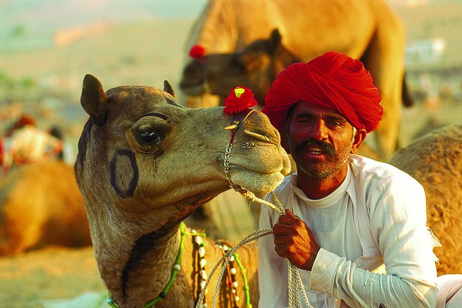 16-Days Rajasthan Tour With Agra From Delhi By,Includes,Guide,Hotels,A-C Vehicle - Key Highlights