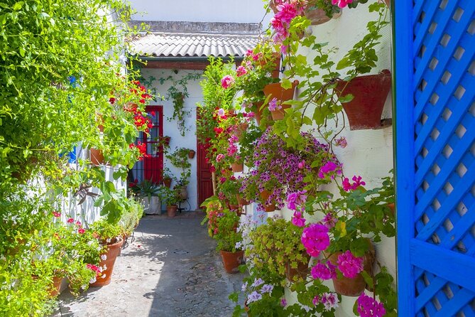 2-Day Guided Tour to Cordoba and Seville Review - Accessibility and Luggage Allowance