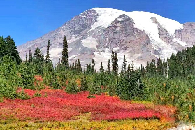 2-Day Mount Rainier & Olympic National Parks Tour From Seattle - Meeting Points and Itinerary