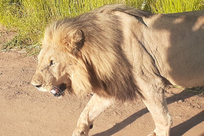 2 Day Private Pilanesberg Guided Tour - Itinerary Highlights