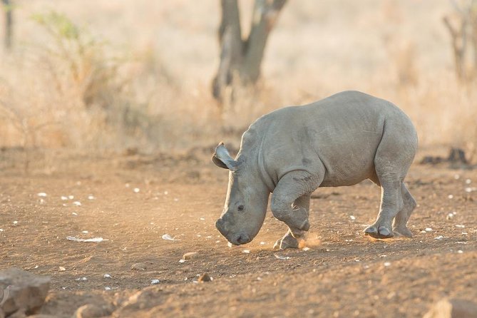 2 Day Zulu Safari Adventure From Durban - Meeting and Pickup Details