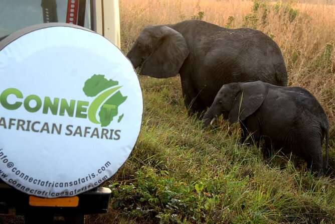 2 Days/ 1 Night Mikumi Tanzania National Park Safari - Pricing and Inclusions
