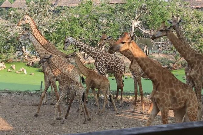 2 Days Flamingo Tour to Lake Bogoria & Lake Nakuru From Nairobi - Itinerary Overview