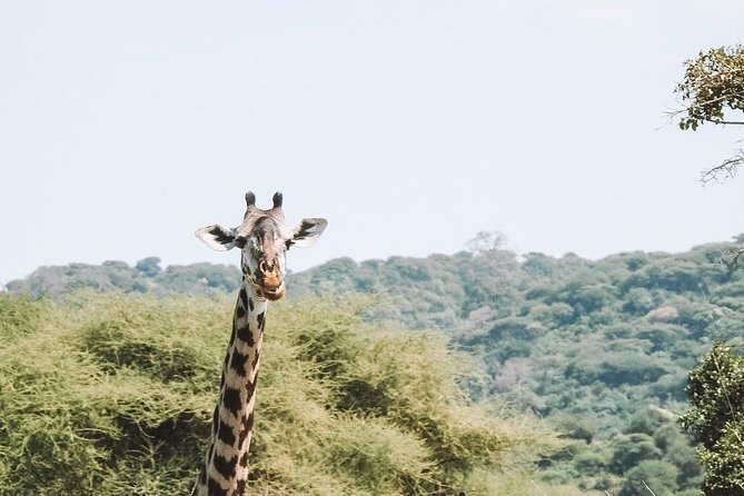 2 Days Mid Range Safari in Ngorongoro and Tarangire Big 5 Parks - Itinerary Highlights