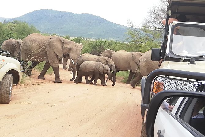 2 Days Pilanesberg Safari 4 Star Lodge - Accommodation Details
