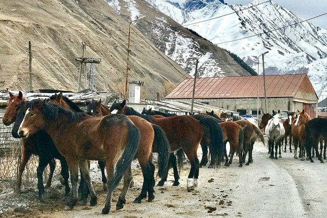 2 Days Private Tour to Kazbegi and Juta Village With Trekking - Included in the Tour